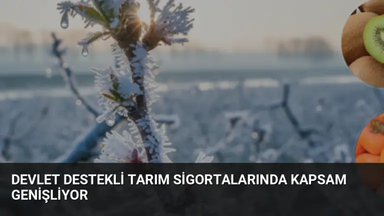 Devlet Destekli Tarım Sigortalarında Kapsam Genişliyor