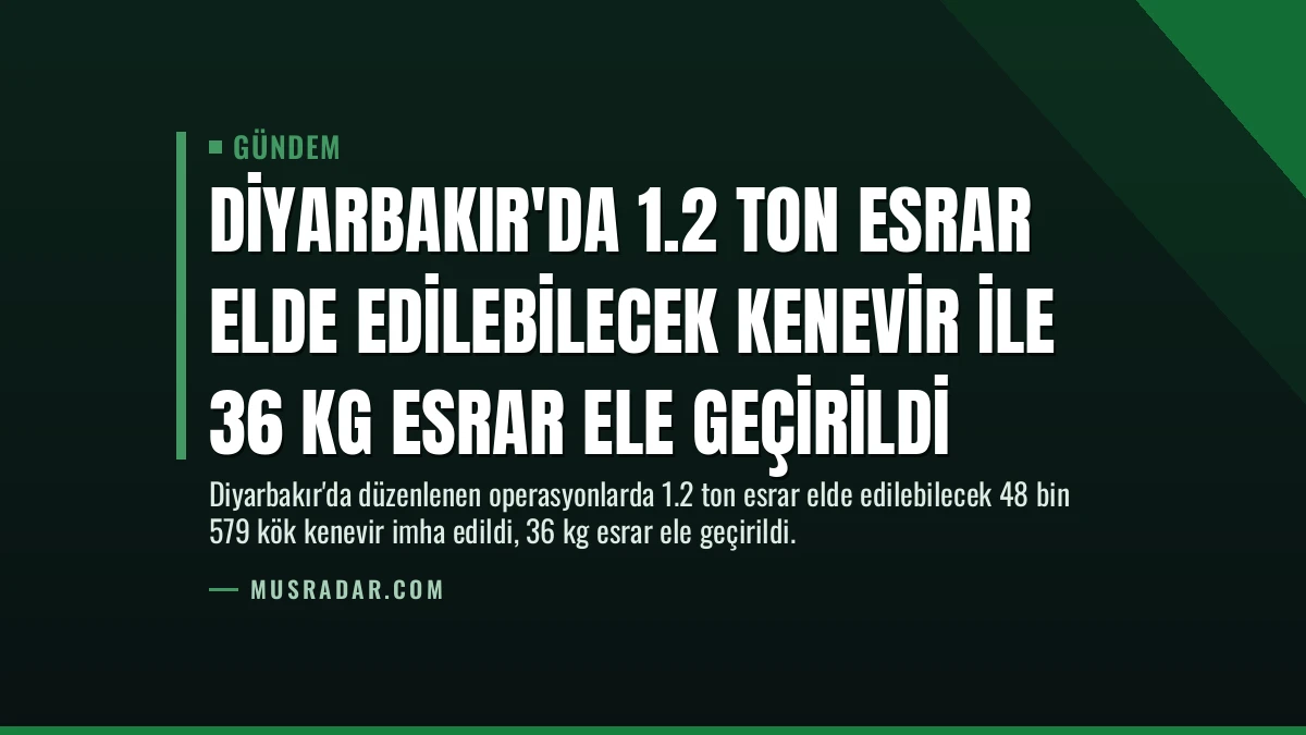Diyarbakır’da 1.2 Ton Esrar Elde Edilebilecek Kenevir İle 36 Kg Esrar Ele Geçirildi