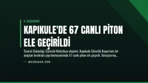 Kapıkule’de 67 Canlı Piton Ele Geçirildi