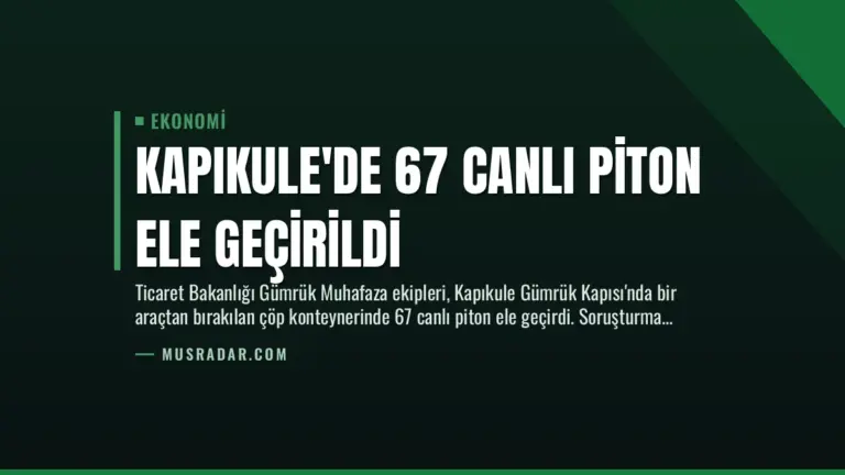 Kapıkule’de 67 Canlı Piton Ele Geçirildi