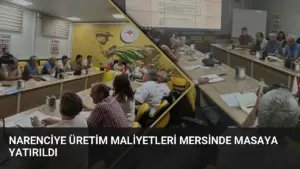 Narenciye Üretim Maliyetleri Mersinde Masaya Yatırıldı