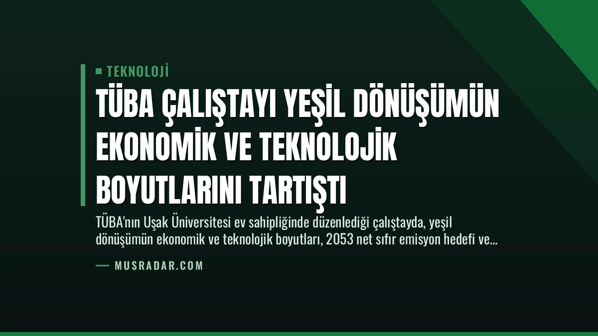 TÜBA Çalıştayı Yeşil Dönüşümün Ekonomik ve Teknolojik Boyutlarını Tartıştı
