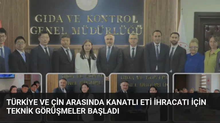 Türkiye ve Çin Arasında Kanatlı Eti İhracatı İçin Teknik Görüşmeler Başladı