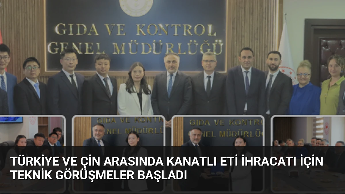 Türkiye ve Çin Arasında Kanatlı Eti İhracatı İçin Teknik Görüşmeler Başladı