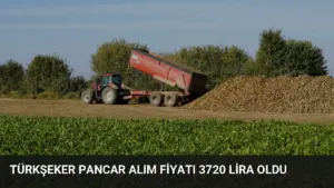 Türkşeker Pancar Alım Fiyatı 3720 Lira Oldu